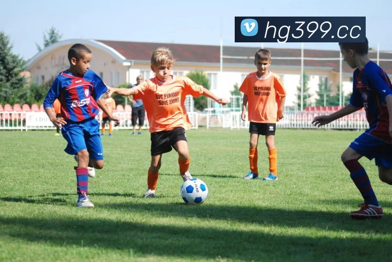 数据防护可视化